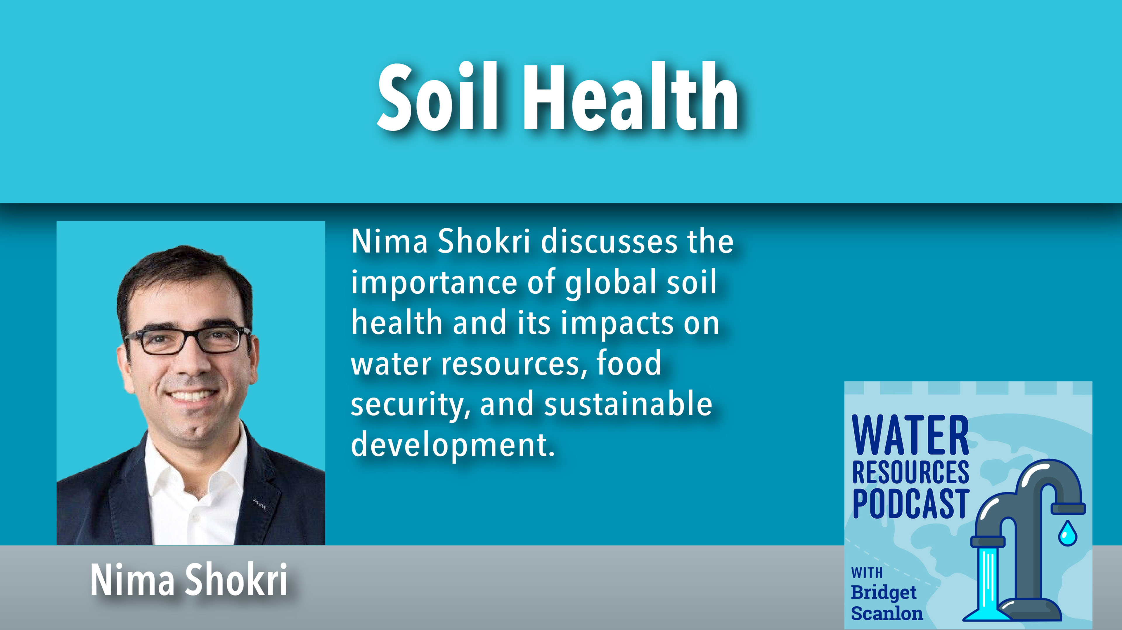 Soil health, dust storms, salinization, crops, food