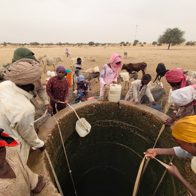 Refugees and animals crowd around a 20 m deep hand dug well at the Am Nabak Refugee Camp.