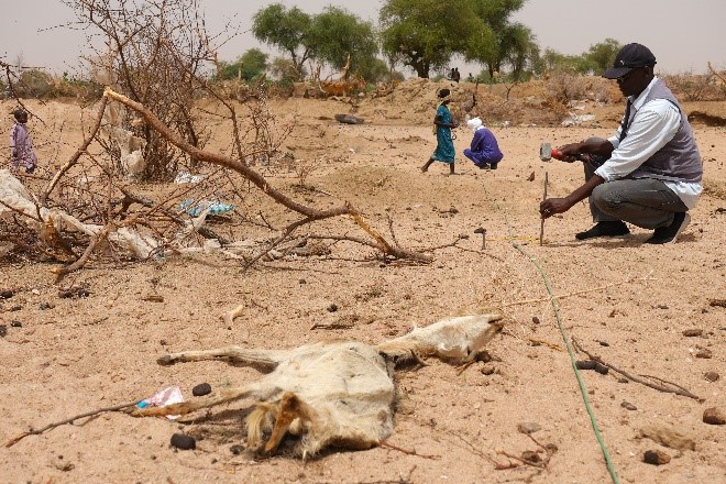 Laying out a line of cables and electrodes through a carcass filled wadi.