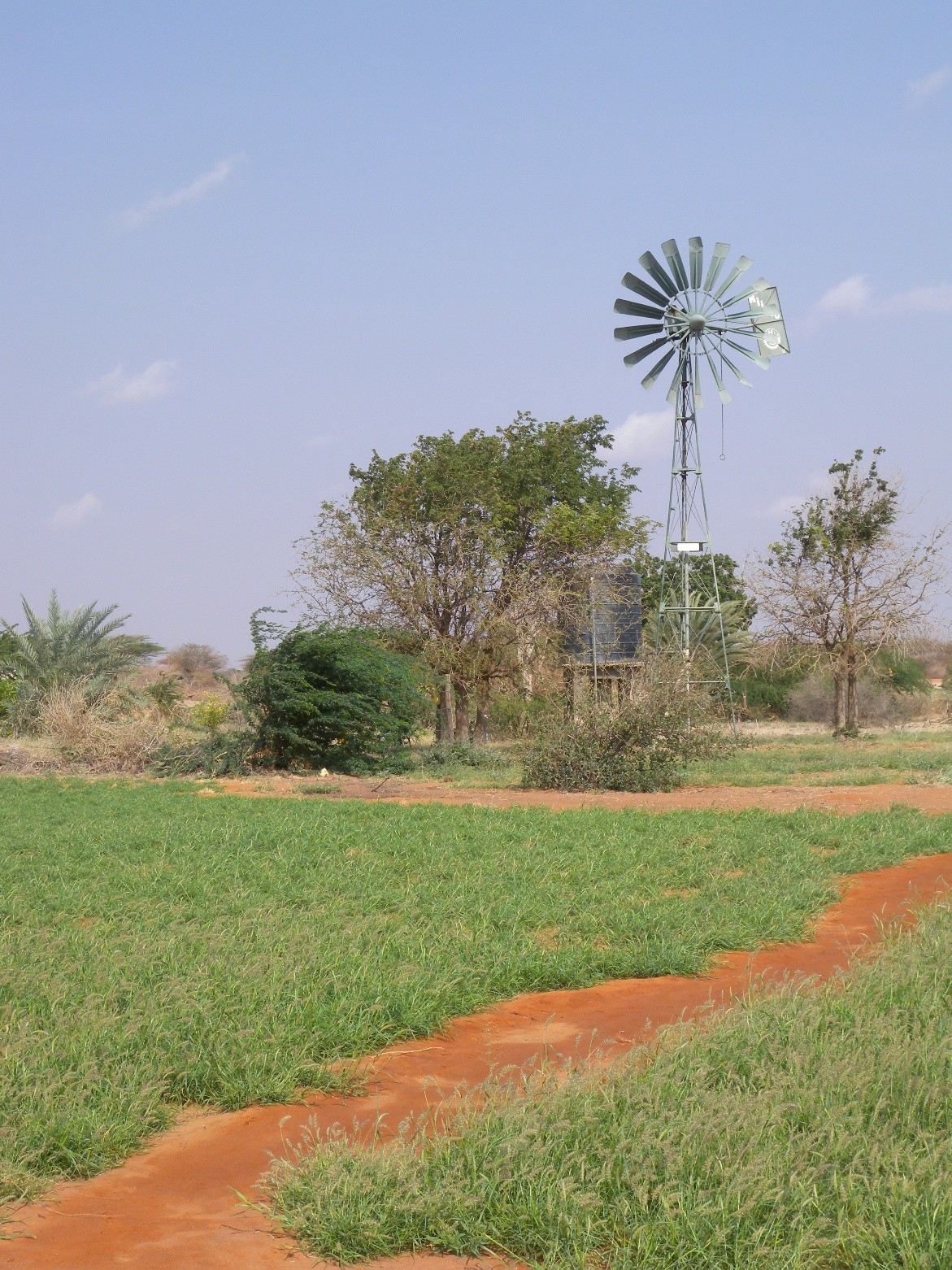 Functioning pump during the 2011 drought surrounded by irrigated fields in Wajir County, Kenya.