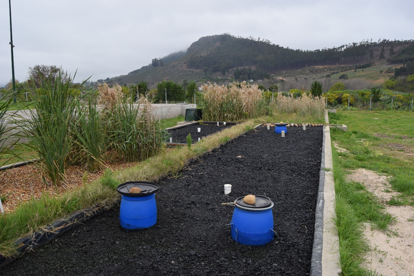 A garden with blue barrels

AI-generated content may be incorrect.