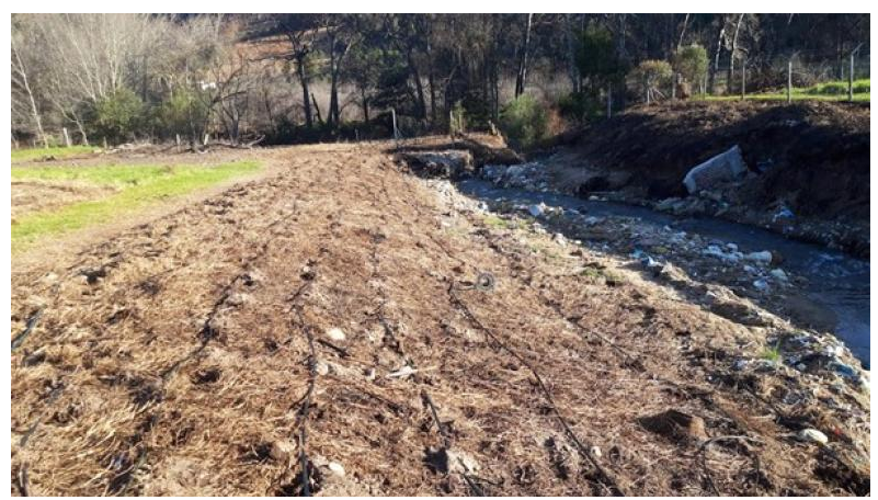 The Steibeuel River that runs through the Water Hub is being restored.